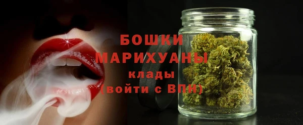 PSILOCYBIN Балахна
