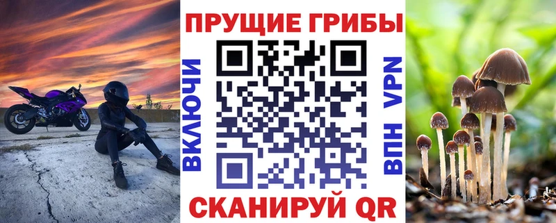 KRAKEN онион Великий Устюг Псилоцибиновые грибы Magic Shrooms
