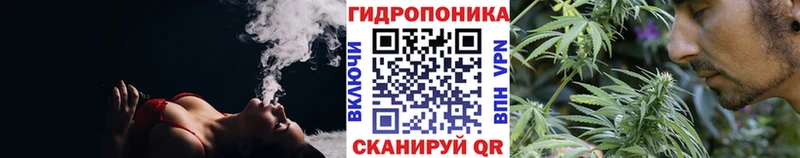 Конопля Bruce Banner Великий Устюг